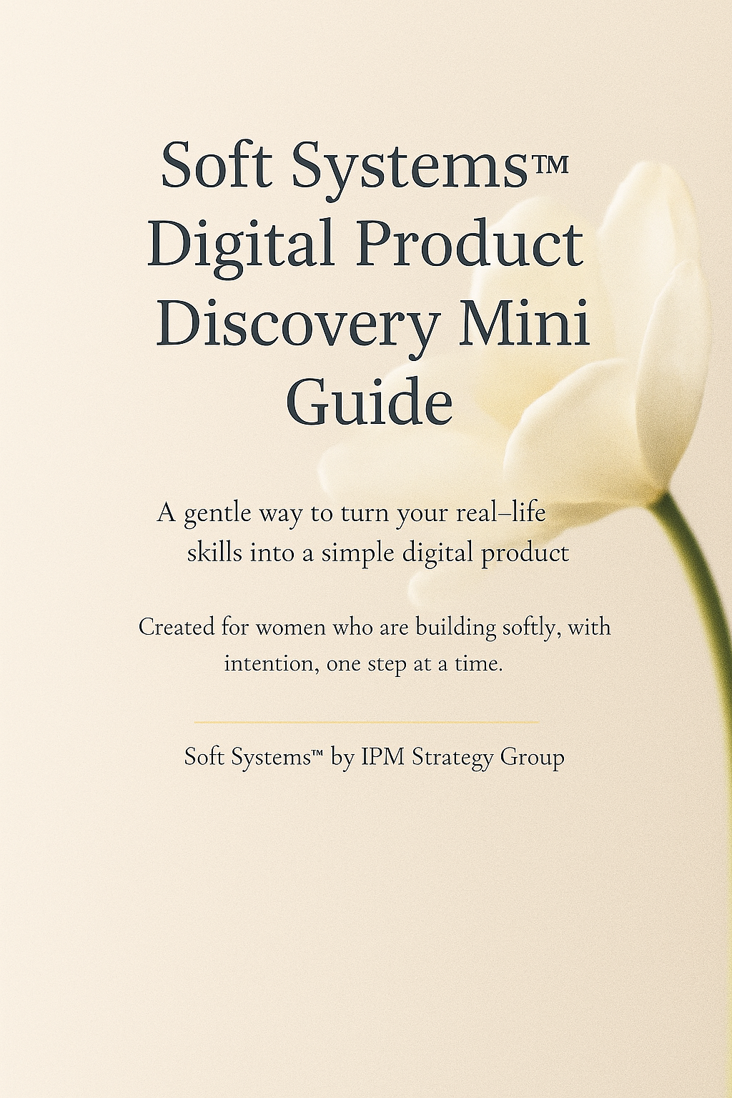 Soft Systems™ Digital Product Discovery Mini Guide